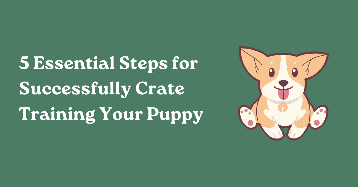Crate training your dog or puppy